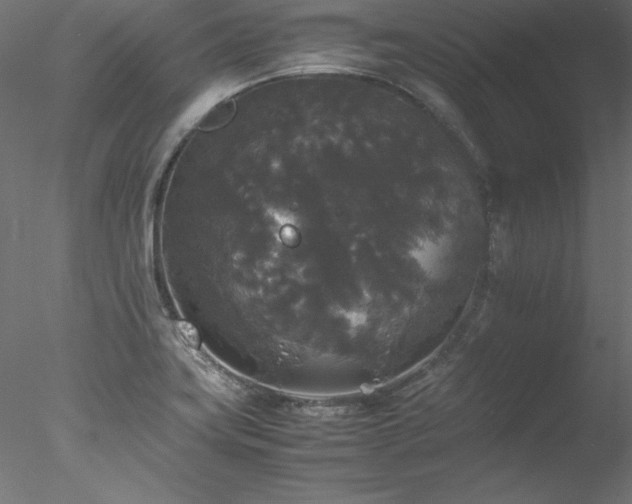 X0000078021419200611031444