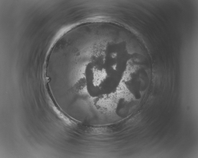 X0000078021421200611031444