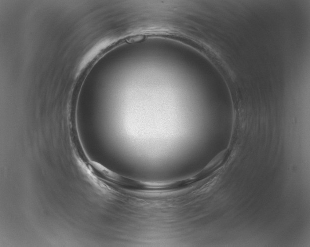 X0000078021422200611031444