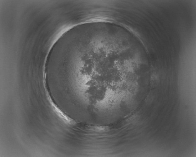 X0000078021423200611031444