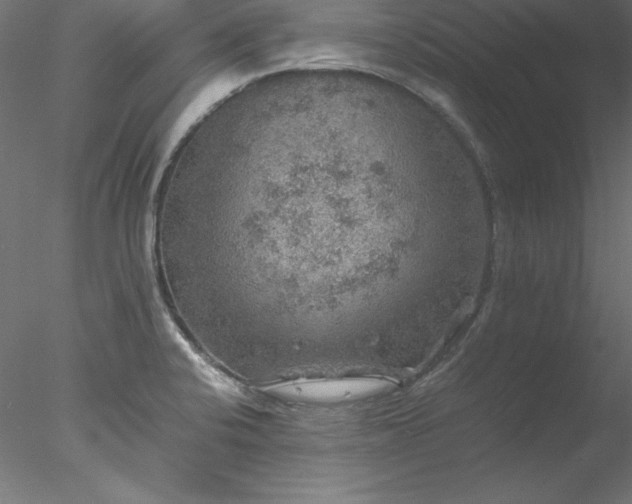 X0000078021424200611031444