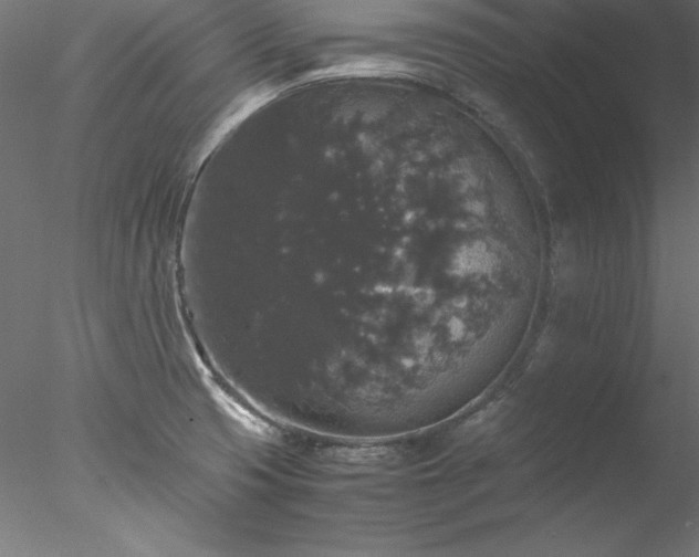 X0000078021425200611031444