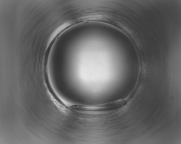 X0000078021426200611031444