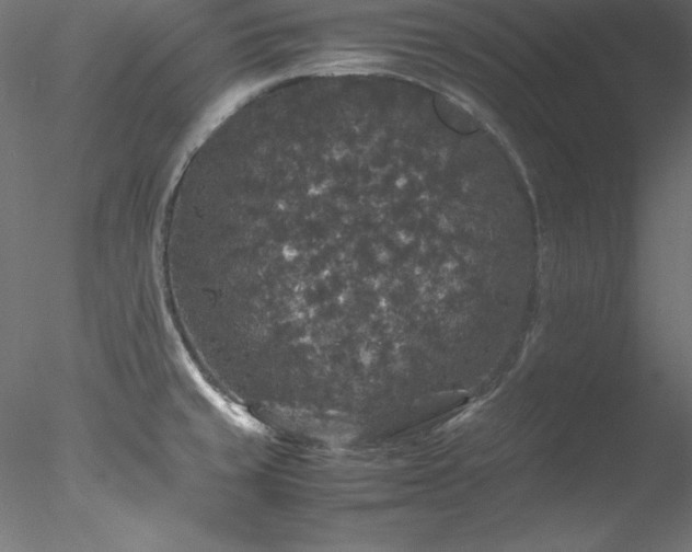 X0000078021429200611031444