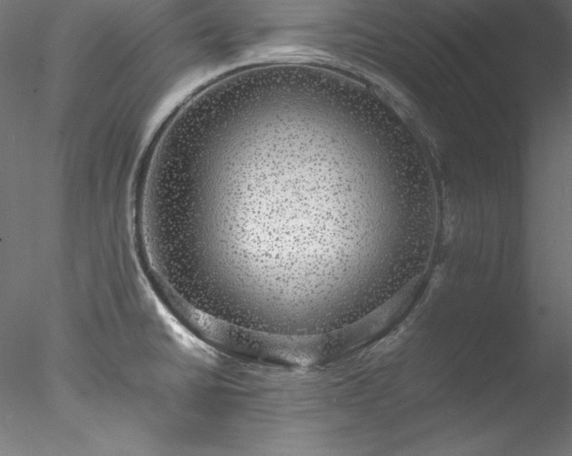 X0000078021430200611031444