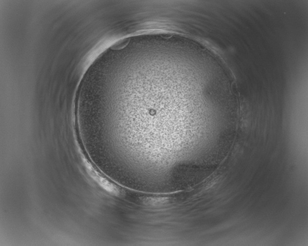 X0000078021431200611031444