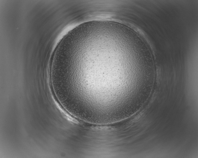 X0000078021432200611031444