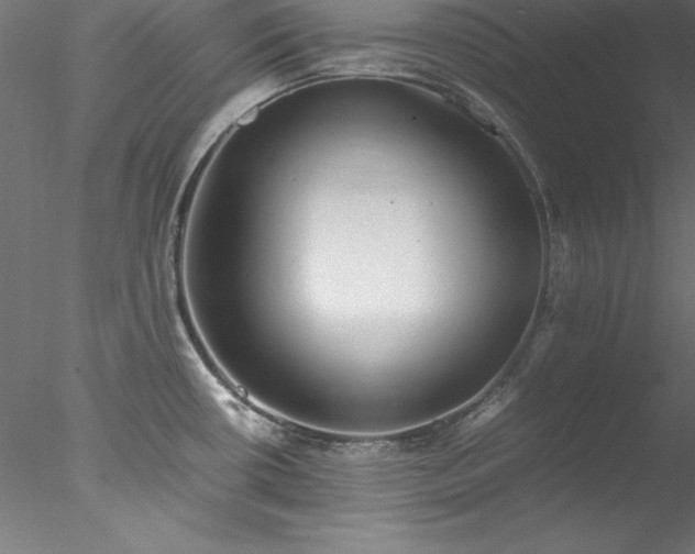 X0000078021434200611031444