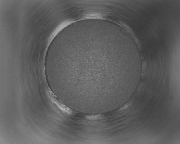 X0000078021435200611031444