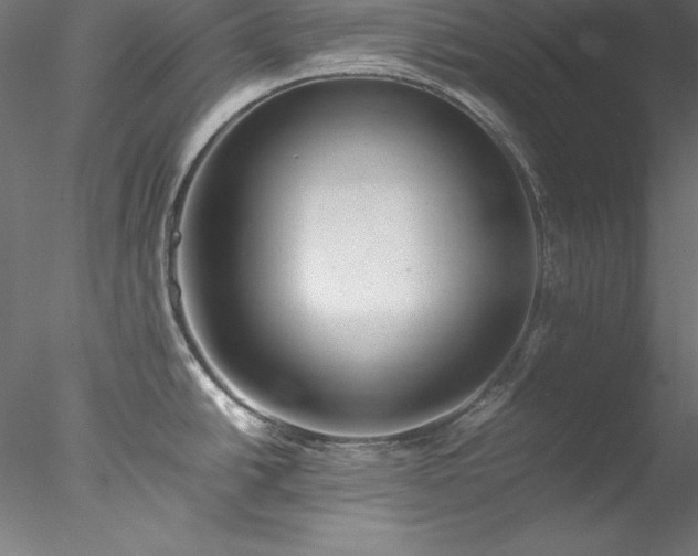 X0000078021438200611031445