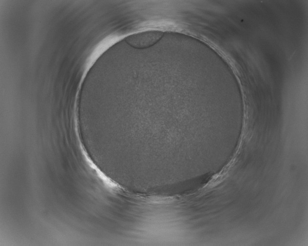 X0000078021440200611031445