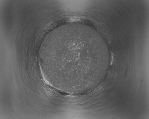 X0000078021441200611031444