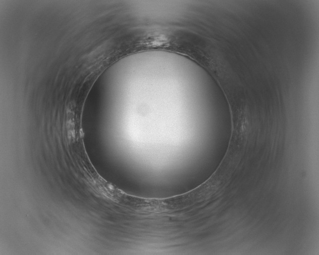 X0000078021442200611031444