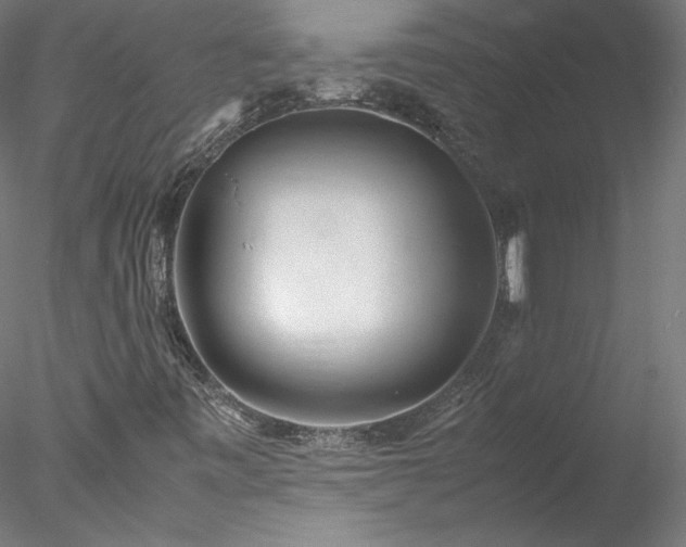 X0000078021443200611031444