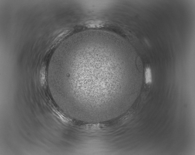 X0000078021444200611031444