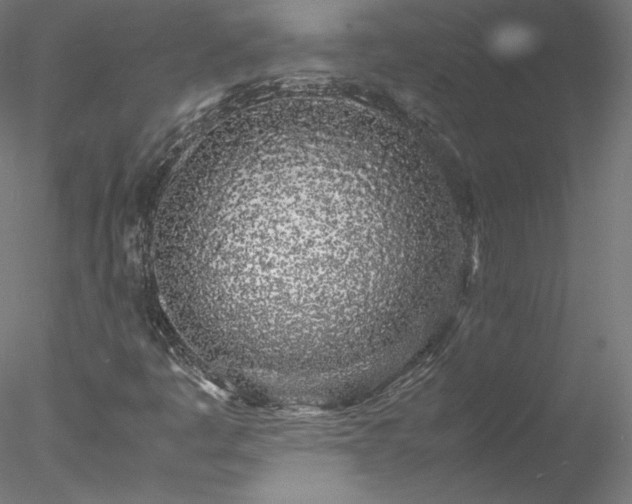 X0000078021445200611031444