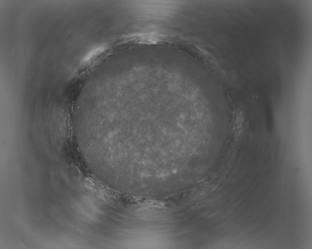 X0000078021446200611031444