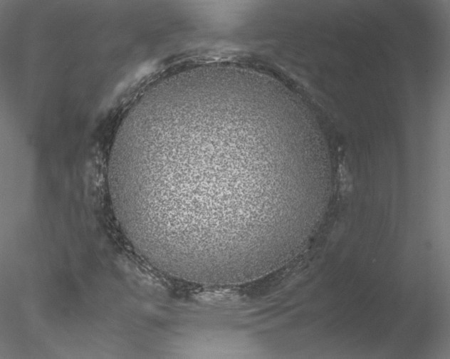 X0000078021447200611031444