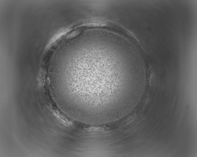 X0000078021448200611031444