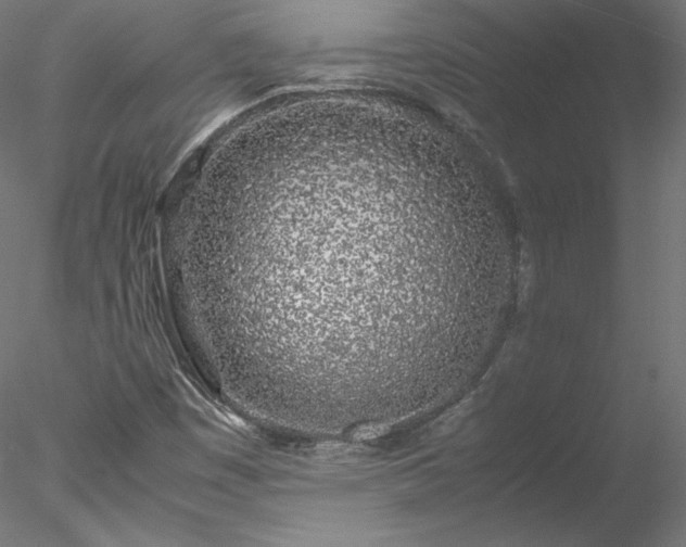 X0000078021449200611031444