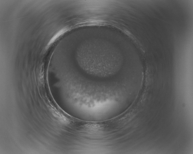 X0000078021450200611031444