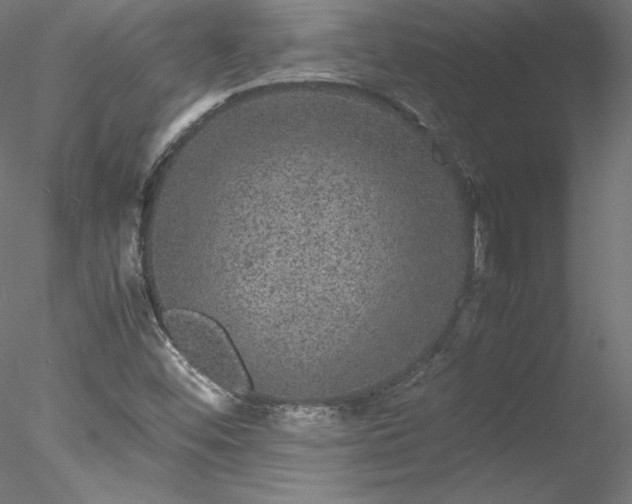 X0000078021452200611031444