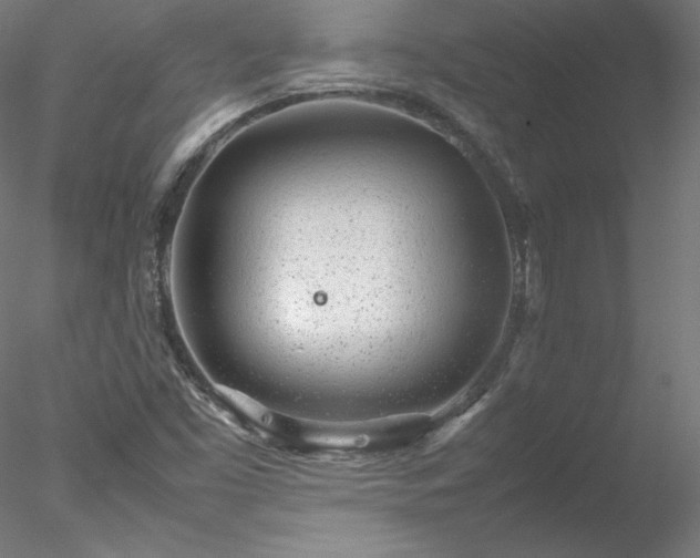 X0000078021453200611031444