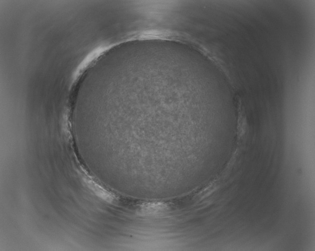 X0000078021454200611031444