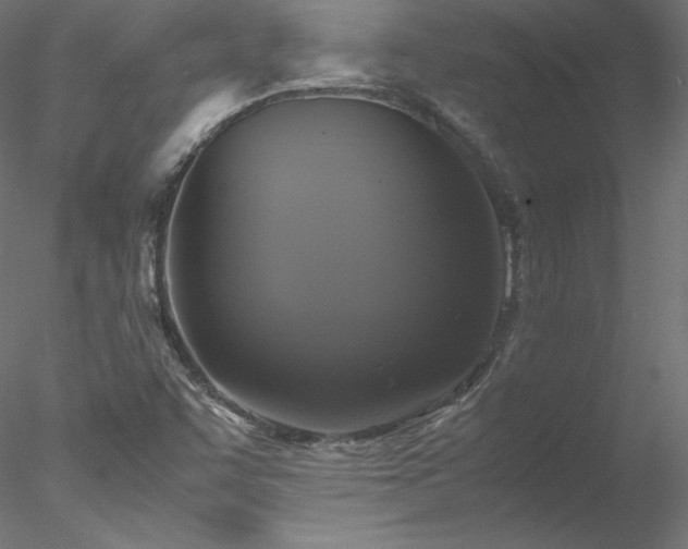 X0000078021455200611031444