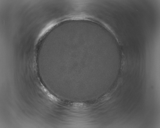 X0000078021456200611031443