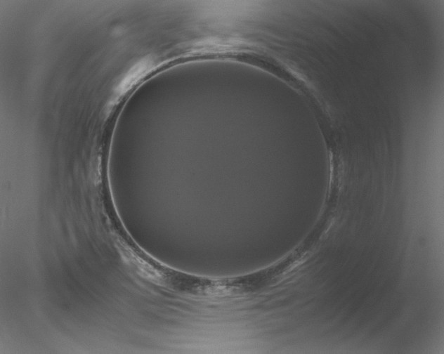 X0000078021459200611031443