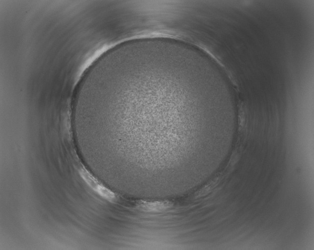 X0000078021460200611031443