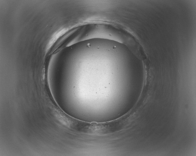 X0000078021461200611031443