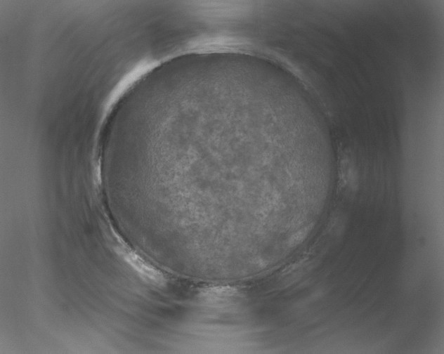 X0000078021462200611031443