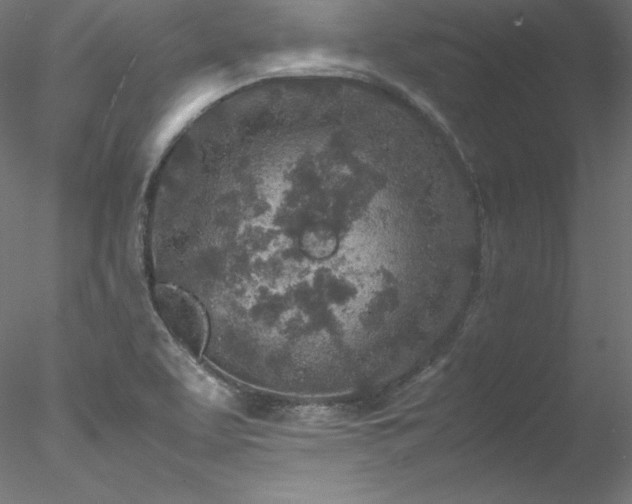 X0000078021463200611031443