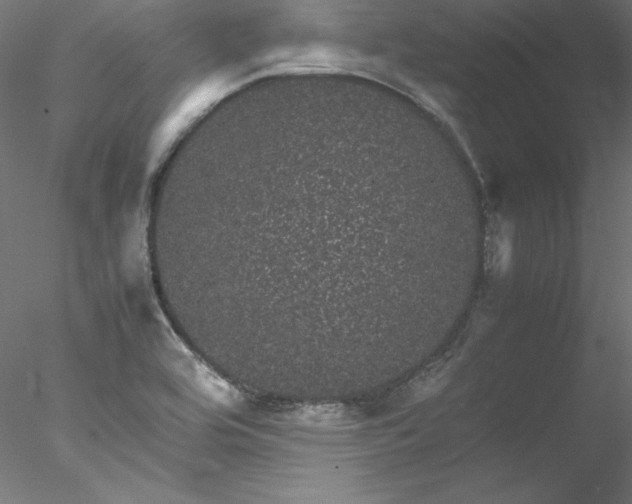 X0000078021464200611031443