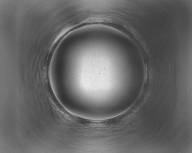 X0000078021465200611031443