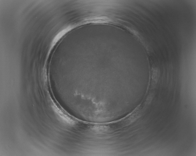 X0000078021466200611031443