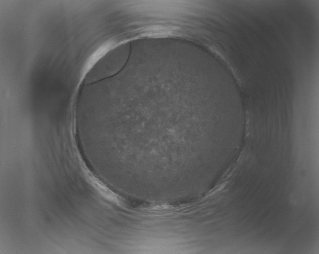 X0000078021467200611031443