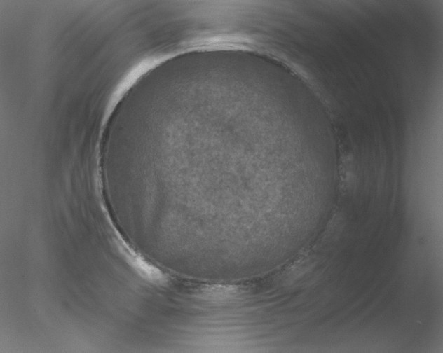 X0000078021470200611031443