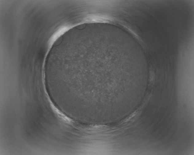 X0000078021471200611031443