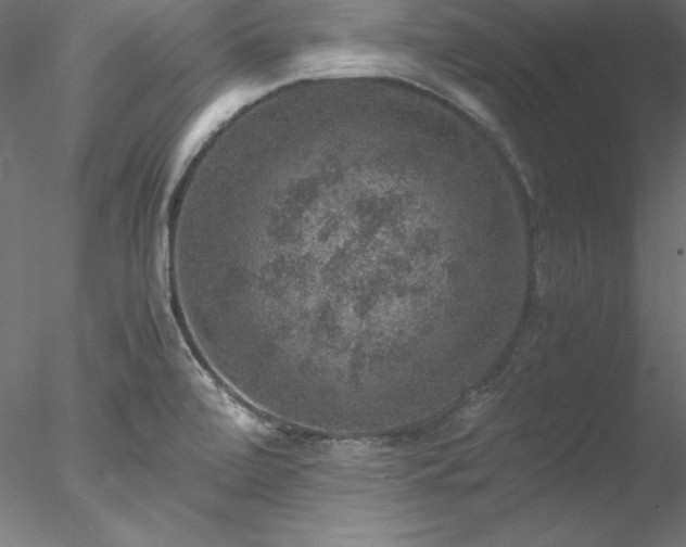 X0000078021472200611031443