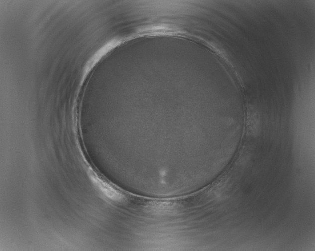 X0000078021474200611031443