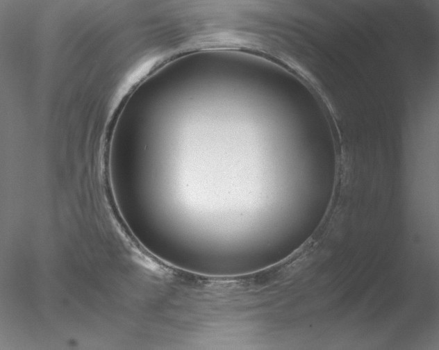 X0000078021477200611031443