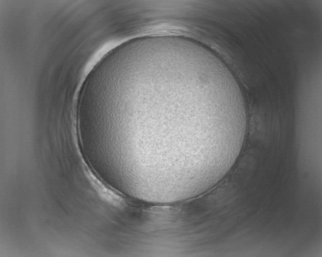 X0000078021478200611031443