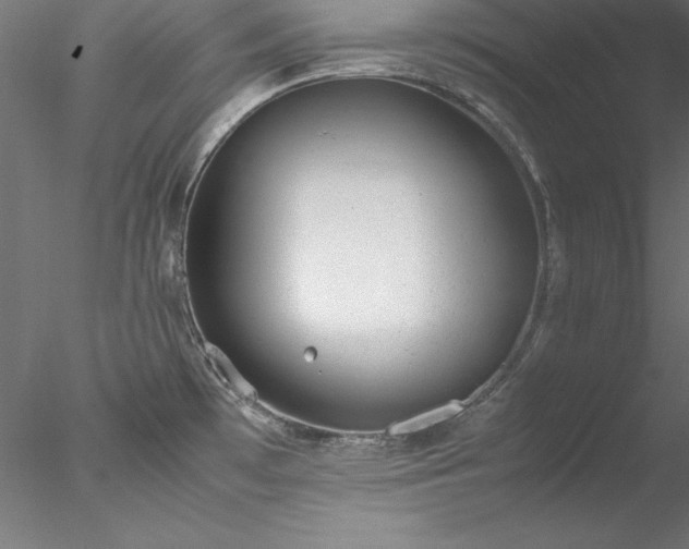 X0000078021481200611031443