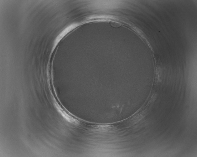 X0000078021482200611031443