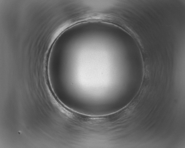 X0000078021483200611031443