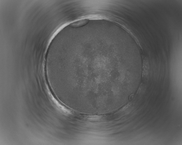 X0000078021484200611031443