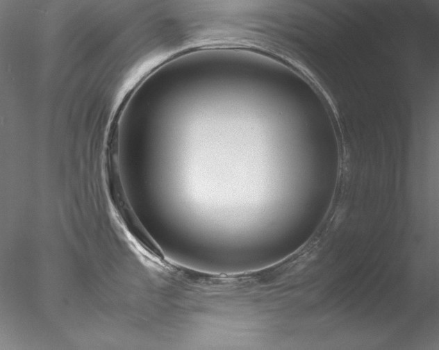 X0000078021485200611031443